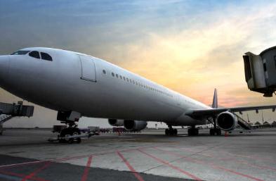 運輸海鮮貨物有哪些注意事項-深圳貨代