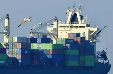 天津貨代公司帶您了解貨代公司的主要業務有哪些？