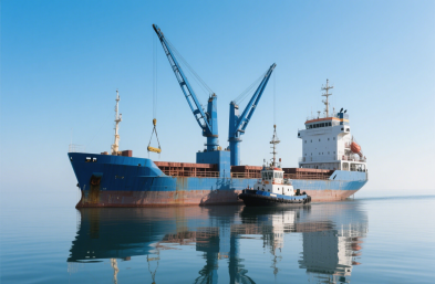 國(guó)際物流貨運(yùn)：農(nóng)產(chǎn)品進(jìn)口的定制化專家