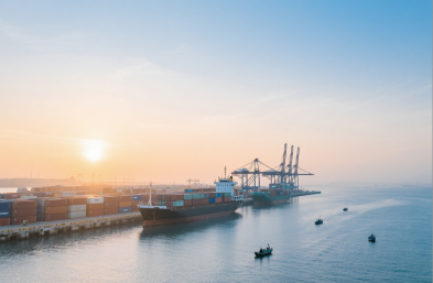 服裝進(jìn)口有高招，國(guó)際海運(yùn)貨代來(lái)助力